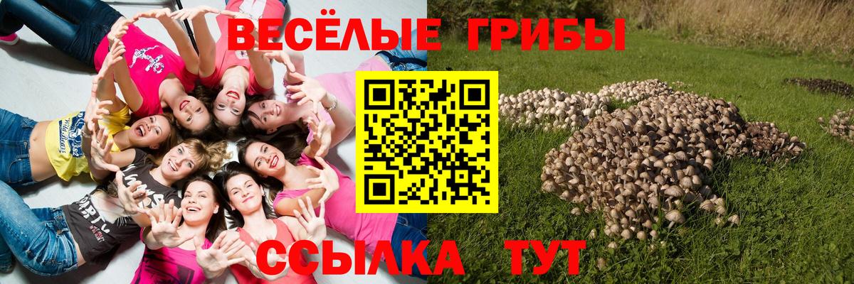 Серпухов  Псилоцибиновые грибы Psilocybe  Вход с VPN 